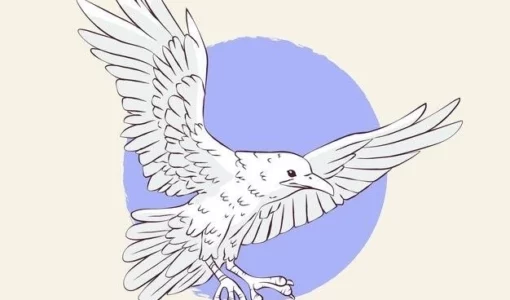 Символика белого орла в эзотерике